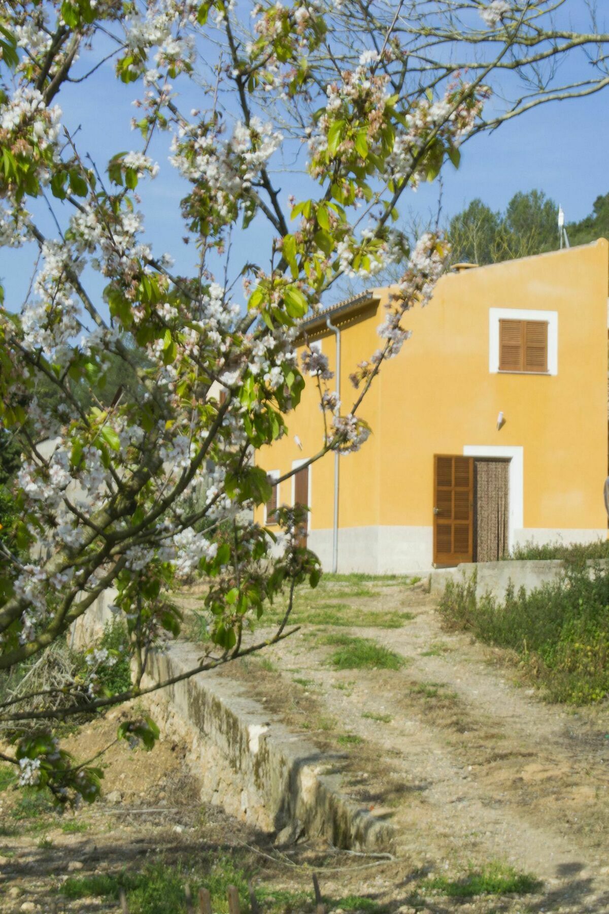 Villa Es Morro Manacor  Exterior foto